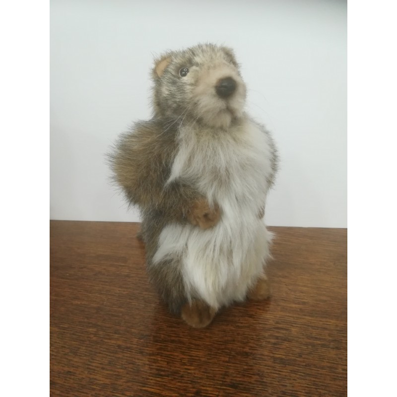 Peluche Marmotte Lucy 22 cm  Peluches et doudous en ligne sur