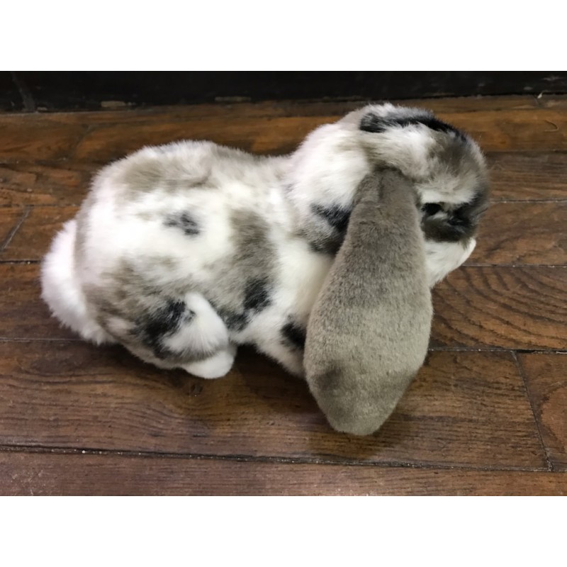 Peluche lapin bélier gris 30 cm  Peluches et doudous sur