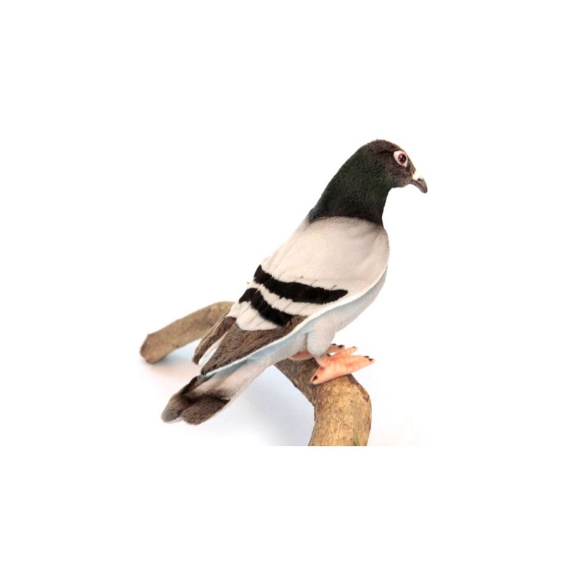 Aznever Animal en Peluche de Pigeon | Jouet en Peluche réaliste de Pigeon  de Roche - Animal en Peluche d'oiseau simulé Mignon et drôle de 7 Pouces